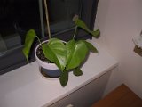 2002 04 21 Img_7372.JPG