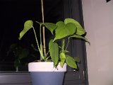 2002 04 21 Img_7373.JPG