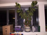 2002 04 21 Img_7384.JPG