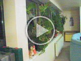 2002 04 21 Wohnzimmer Mvi_7358.mp4