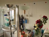 2002 04 22 Img_7416.JPG