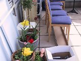 2002 04 22 Img_7423.JPG