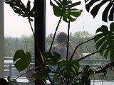 2002 04 22 Img_7442.JPG