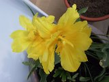 2002 04 22 Img_7456.JPG