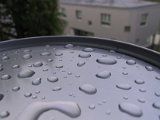 2002 04 23 Img_7480.JPG