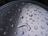 2002 04 23 Img_7481.JPG