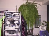 2002 04 23 Img_7551.JPG