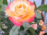 2002 04 27 Img_7670.JPG