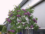 2002 04 27 Img_7691.JPG