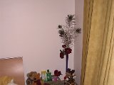 2002 04 28 Img_7784.JPG