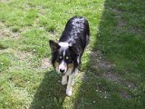 IMG_9514.JPG