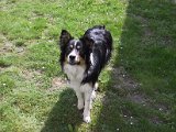 IMG_9515.JPG