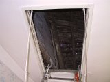 IMG_9520.JPG