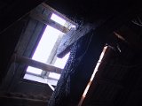 IMG_9544.JPG