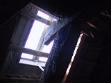 IMG_9545.JPG