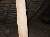 IMG_9548.JPG