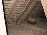 IMG_9549.JPG