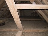 IMG_9550.JPG