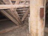 IMG_9551.JPG