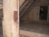 IMG_9552.JPG