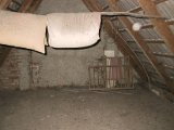 IMG_9557.JPG