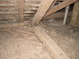 IMG_9559.JPG