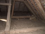 IMG_9562.JPG