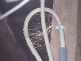 IMG_9566.JPG