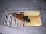 IMG_9570.JPG