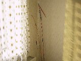 IMG_9594.JPG