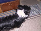 IMG_9619.JPG
