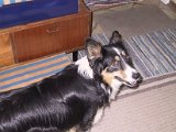 IMG_9620.JPG