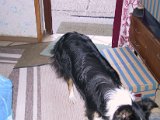 IMG_9621.JPG