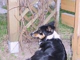 IMG_9639.JPG