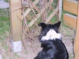 IMG_9640.JPG