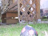 IMG_9641.JPG