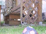 IMG_9642.JPG