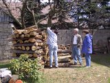 IMG_9734.JPG