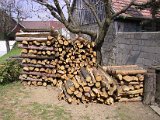 IMG_9741.JPG