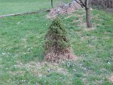 IMG_6062.JPG