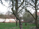 IMG_6071.JPG