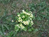 IMG_6078.JPG