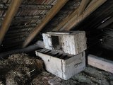 IMG_6143.JPG