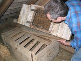 IMG_6145.JPG