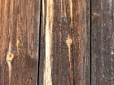 IMG_6165.JPG