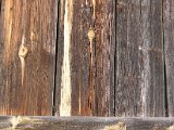 IMG_6166.JPG