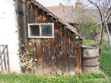 IMG_6169.JPG