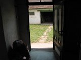 IMG_6203.JPG
