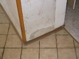 IMG_6242.JPG