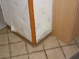 IMG_6243.JPG